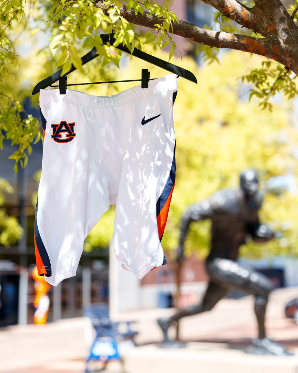AuburnFootball's tweet image. It feels like Homecoming on The Plains 🥶⚪️