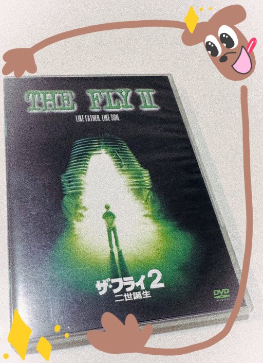 k5r6n3's tweet image. 今日は家族と映画観たりして過ごしたよ！

ハエ男の恐怖のリメイク版、ザ・フライとその続編のザ・フライ2を観たんだけどやっぱいいわ〜この映画だいすっき🫶
1はハエと融合してしまった男のグロいラブストーリーで2はハエ男の息子の話です。ハエが可愛く見えるので観てない方は是非🩷