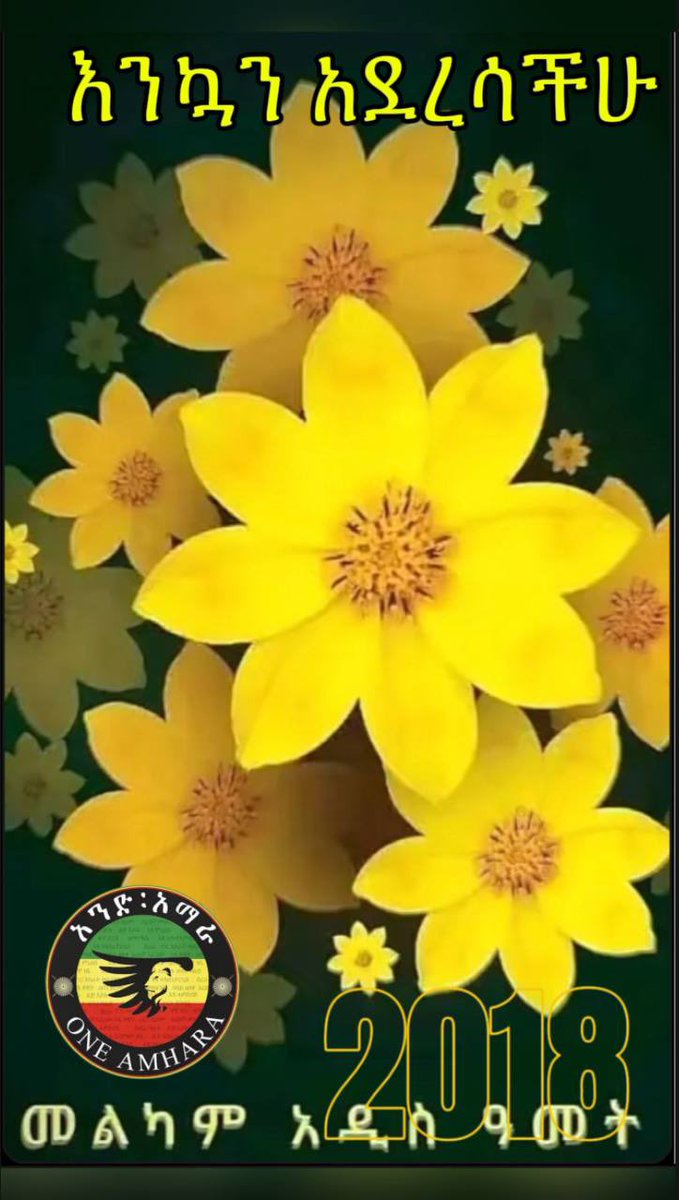 አንድ አማራ tweet media