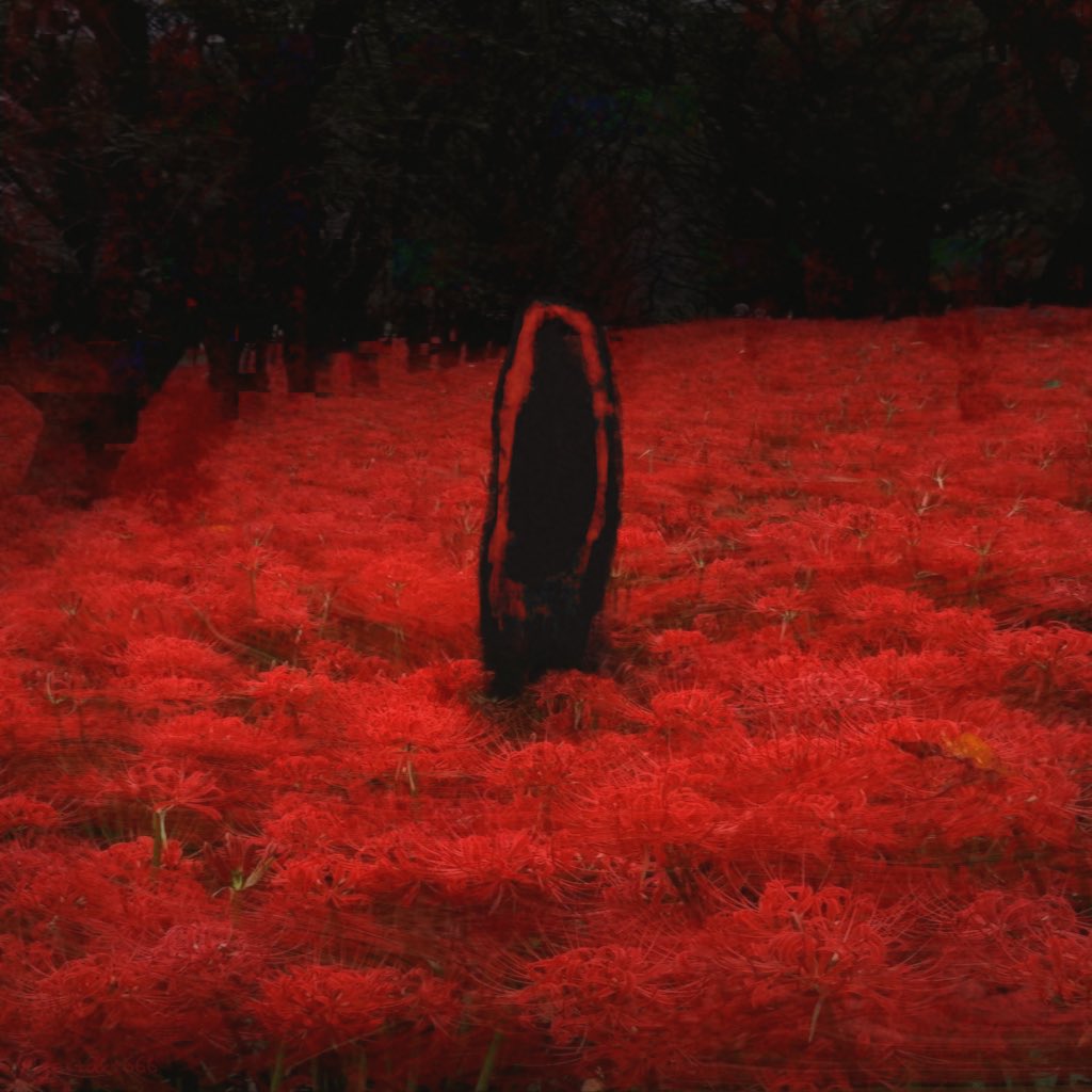 ﾑた。 tweet media