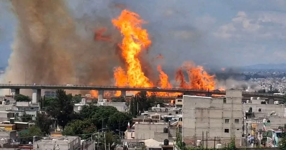 Wikichava tweet media