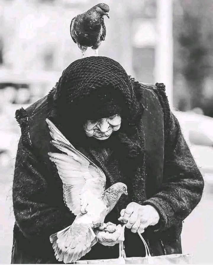 كل القلوب يغيرها الزمن ، إلا قلب الأم جنة دائمه 
تمنيت لو أن الحياة أختبرت صبري بشي ثاني ..بشي غير أمي 💔