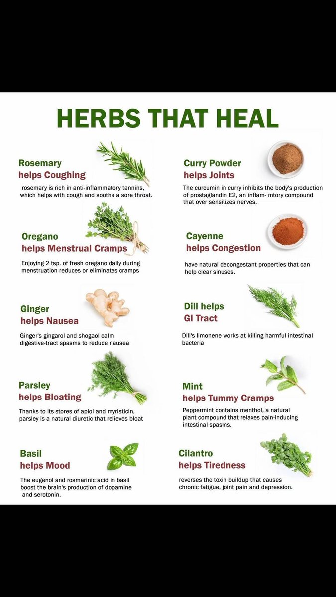 HERBS THAT HEAL 🌿