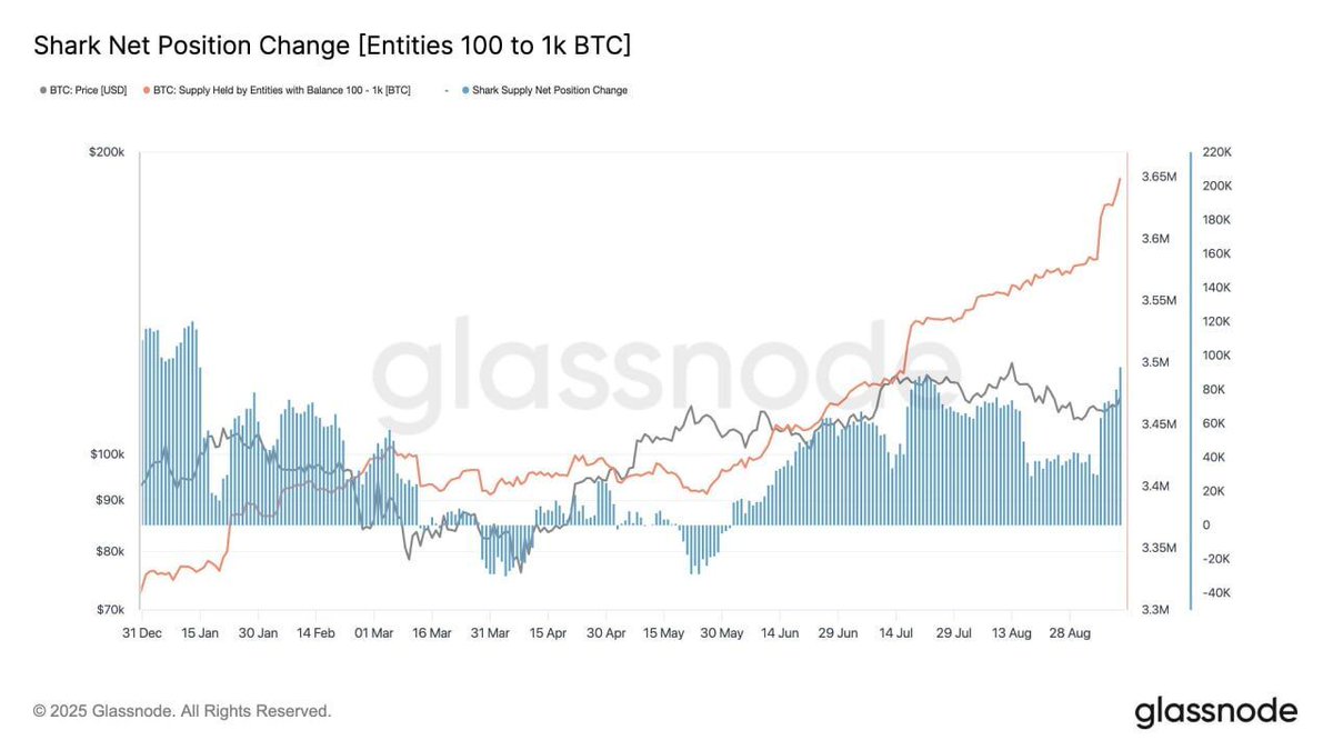 🟠BTC-ARCHIVE: I portafogli "shark" di Bitcoin raggiungono un massimo storico di 3,65 milioni di BTC con un'aggiunta di 65.000 BTC in una settimana