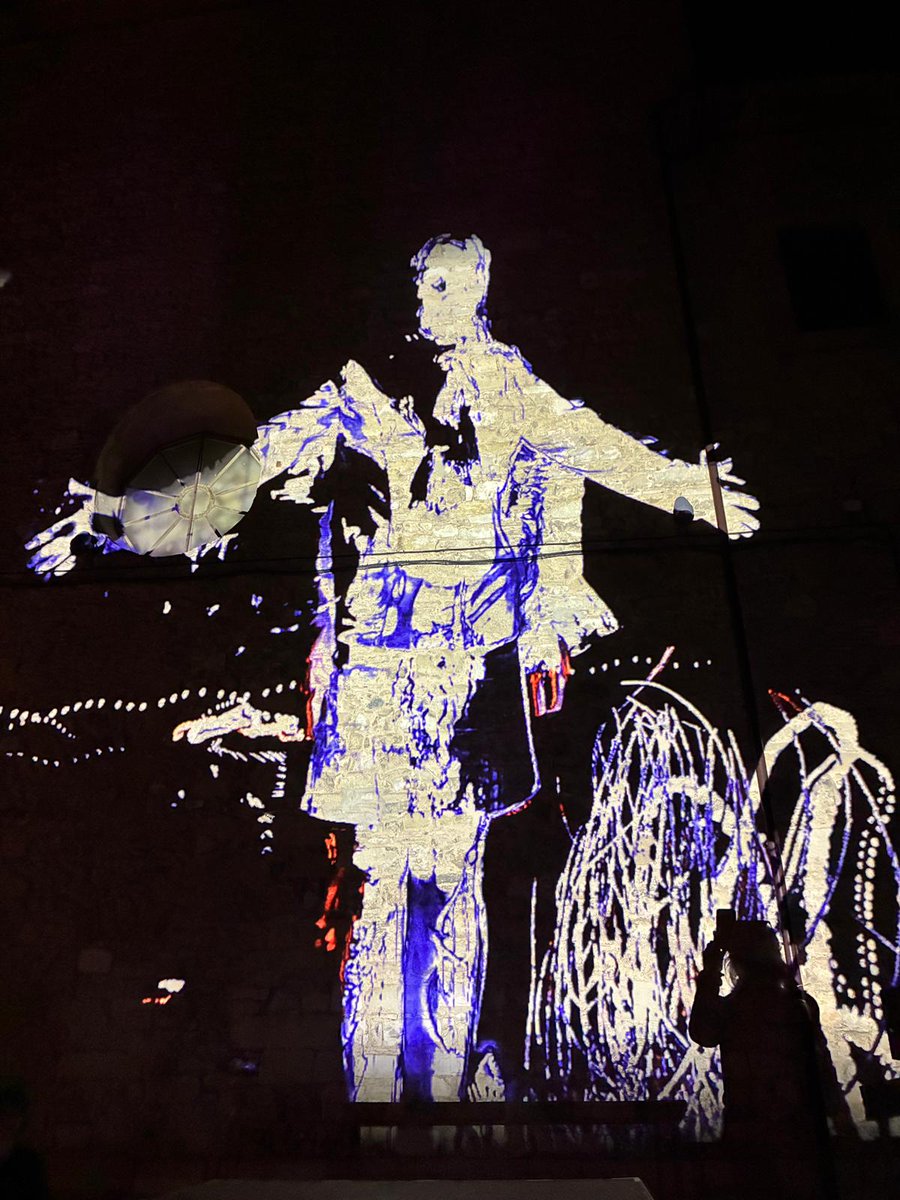 Insectotròpics tweet media