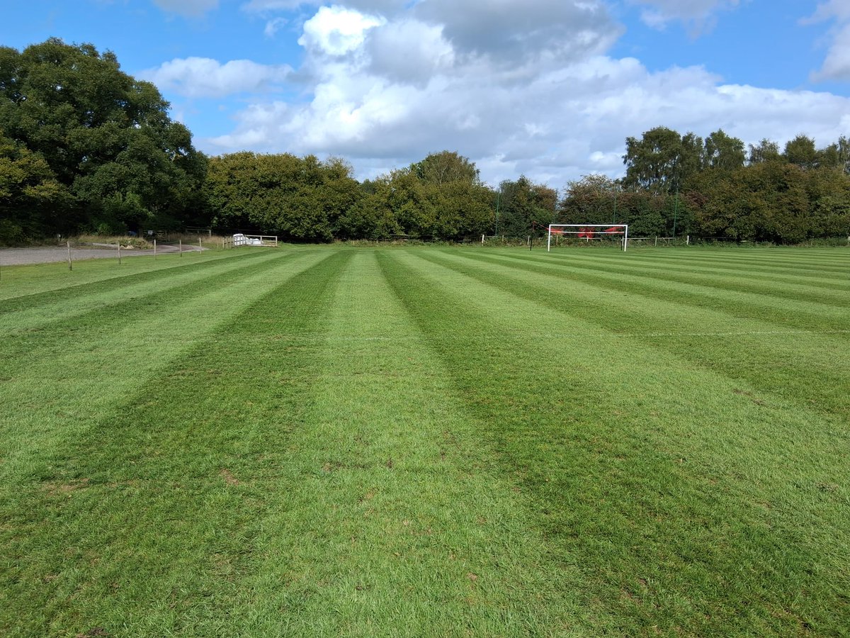 Mattyk05's tweet image. Many thanks to  @mwturfcare and West Surrey GC. Managed to get a few bags of seed down today. Super quick delivery and super service from MW Tyrfcare as always 👌@hambledonfc 

#mmseed #grass #overseed #badgerpark