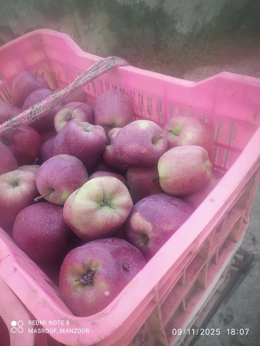 Masroof_manzoor tweet media