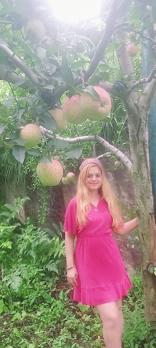 ash4intelways's tweet photo. #Nothing ...as #red as #himachal #apples lushgreen #pinewood #forest #appleorchards #mountains #river #waterfall #clouds #rain #forestnymph #dewfresh ethereal #heaven #ballad #naturalliving  #alpine #appleorchards2025 #eternalbliss  #akhandanand #devbhoomi #himachal  #manali https://t.co/b1oKJCpoG2