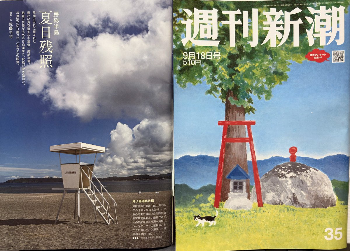 佐藤 圭司 tweet media
