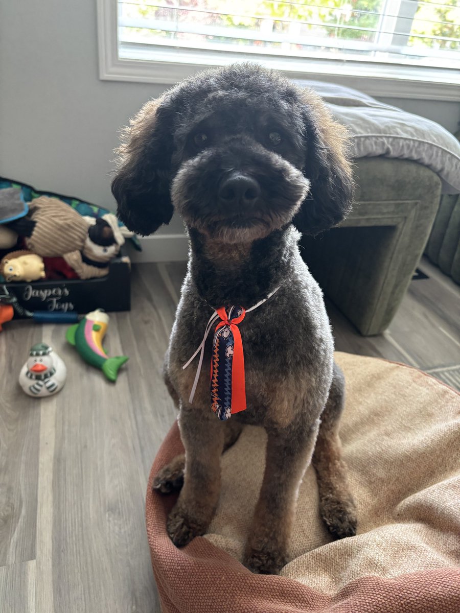 CMSpicedRumGirl 👩🏻‍✈️🥃 tweet media