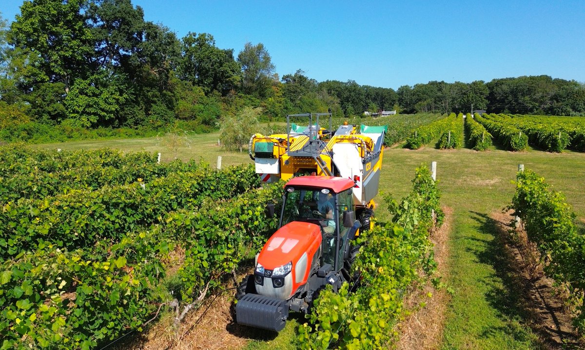 Cedar Rose Vineyard – Millville, NJ
Kubota M5-111 Tractor &amp; Gregoire G3 Grape Harvester
#hooberinc #kubota #kubotausa #grapeharvest