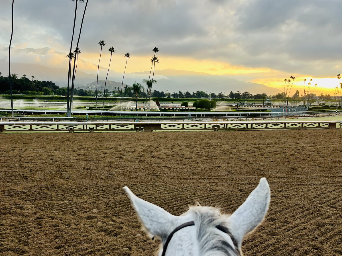 After a safe and successful <a href="/DelMarRacing/">Del Mar Racetrack</a> meet, it is back <a href="/santaanitapark/">Santa Anita Park</a> for our equine athletes !