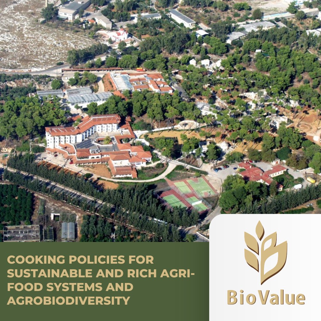 BiovalueProject's tweet image. How can biodiversity & gastronomy shape sustainable food systems? Join us at Cooking Policies for Sustainable Agri-Food Systems & Agrobiodiversity on Sept 15 at CIHEAM-MAICh. #BioValueEU #Agrobiodiversity #SustainableFood