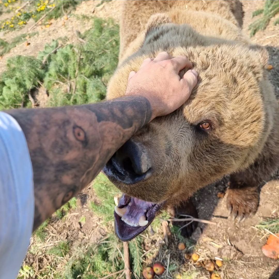 i miss po 😿🥀....