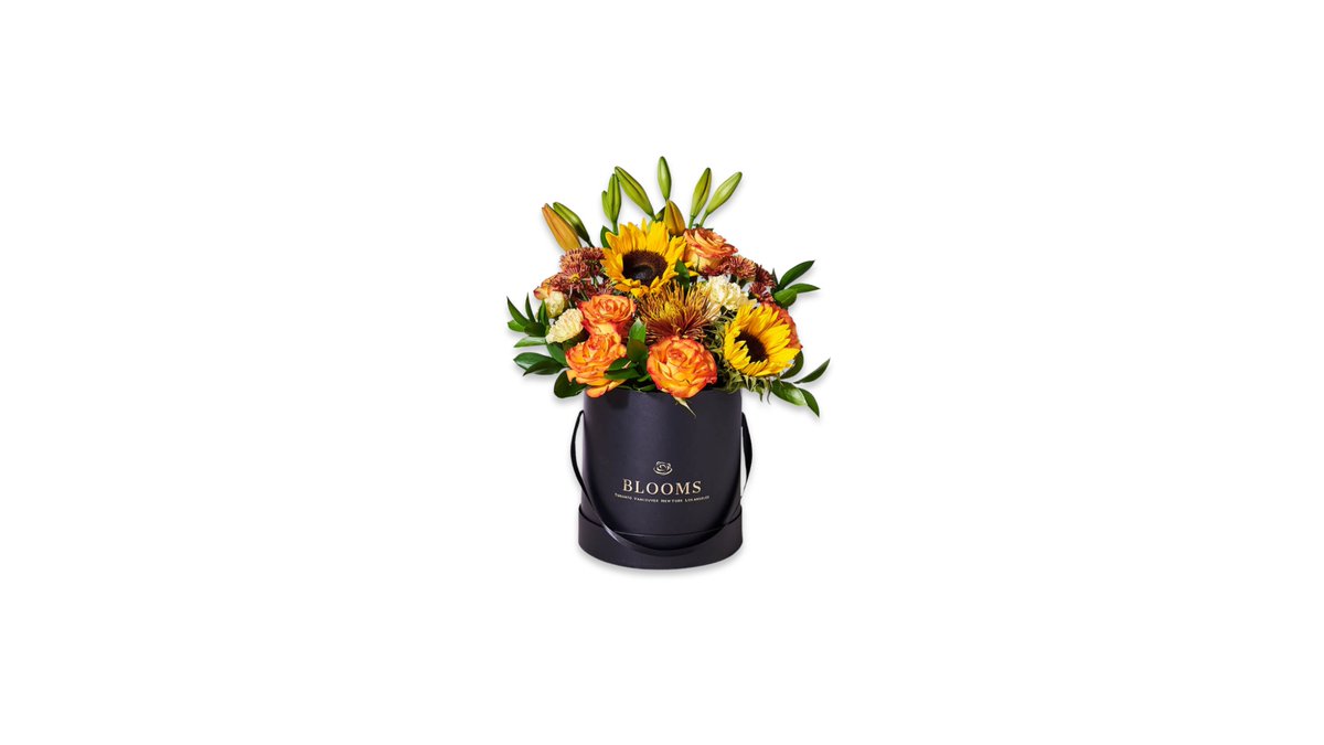 ⠀ 
Floch the house elf tucked a box and a roll of parchment into the storage chest of residence P5-037. It bore the name of its recipient: Brice Fraisse (<a href="/hiustoris/">Brice.</a>). 

📦 : s. id/BF-AGF
⠀