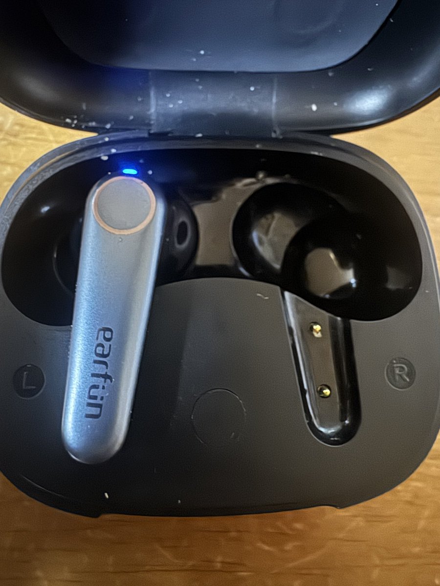 taunnzu's tweet image. 片耳を無くしてレギュラー落ちしてんねん…
 #EarFunの秋