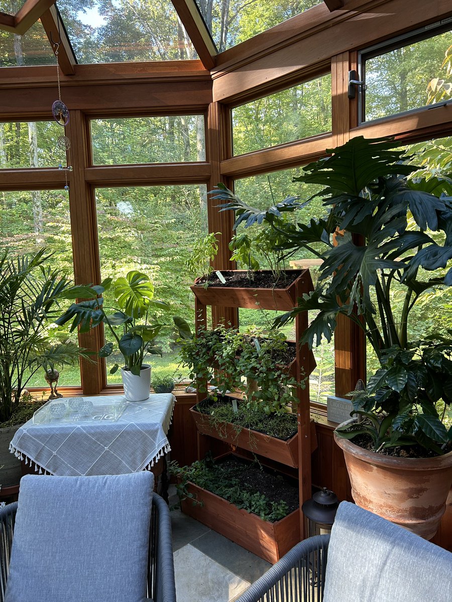 What do you mean, What am I doing in here?!  I’m gardening, of course. I thought that was obvious.  Now go away so I can figure out how to get back out.