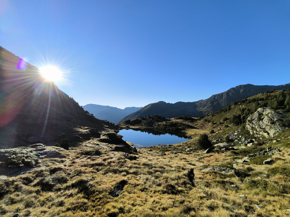 Mark Nyet tweet media