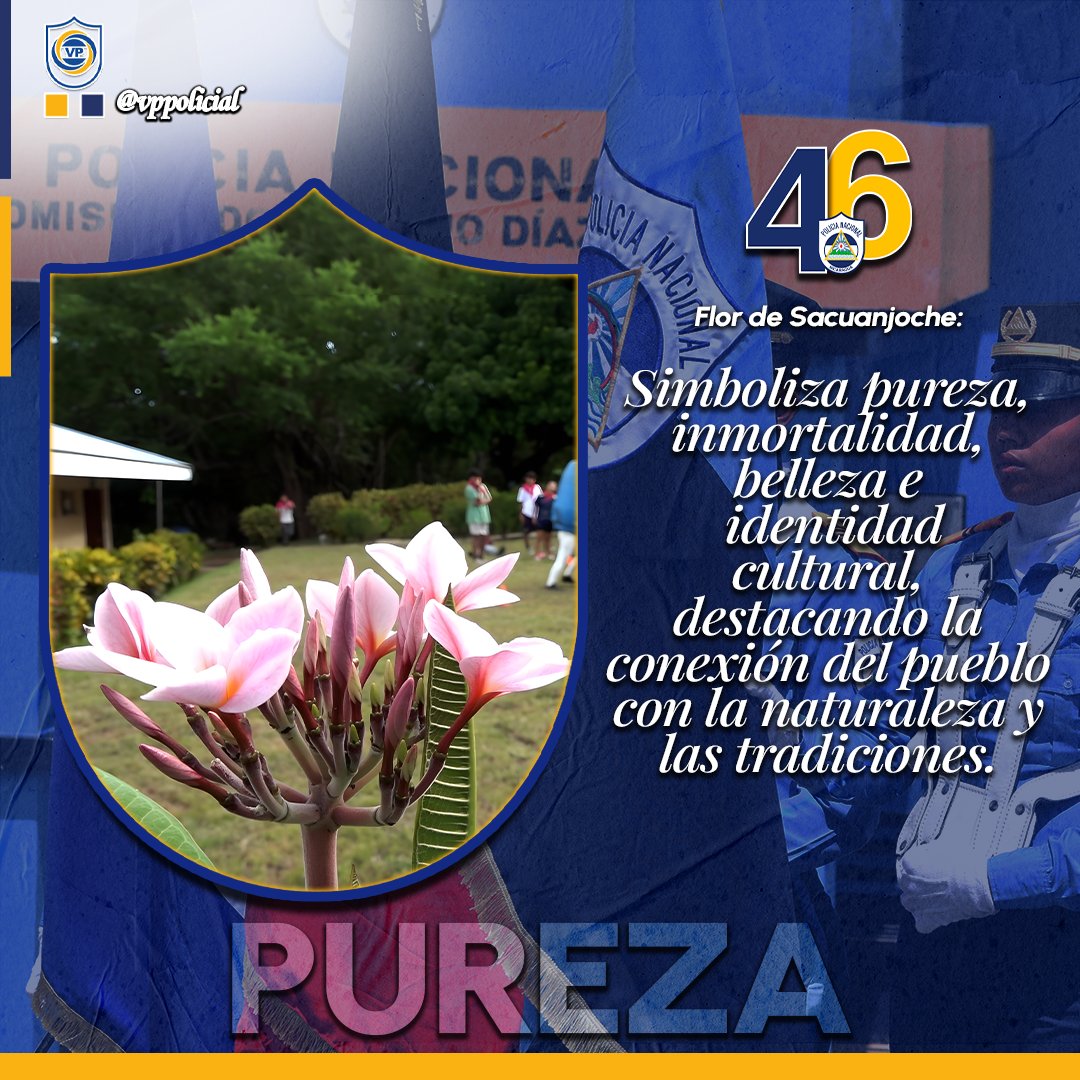 #Nicaragua 

👨‍👩‍👧‍👦🌞 Buenos días familias nicaragüenses 🌅

¡Feliz jueves! ✌️

🌸🔵⚪️ Símbolo Patrio 🔵⚪️

■Nuestra Flor de Sacuanjoche, simboliza pureza, inmortalidad, belleza e identidad cultural.

🙌 ¡Bendecido día! 👋 

#TodosSanJacinto 
#JuntoALaComunidad