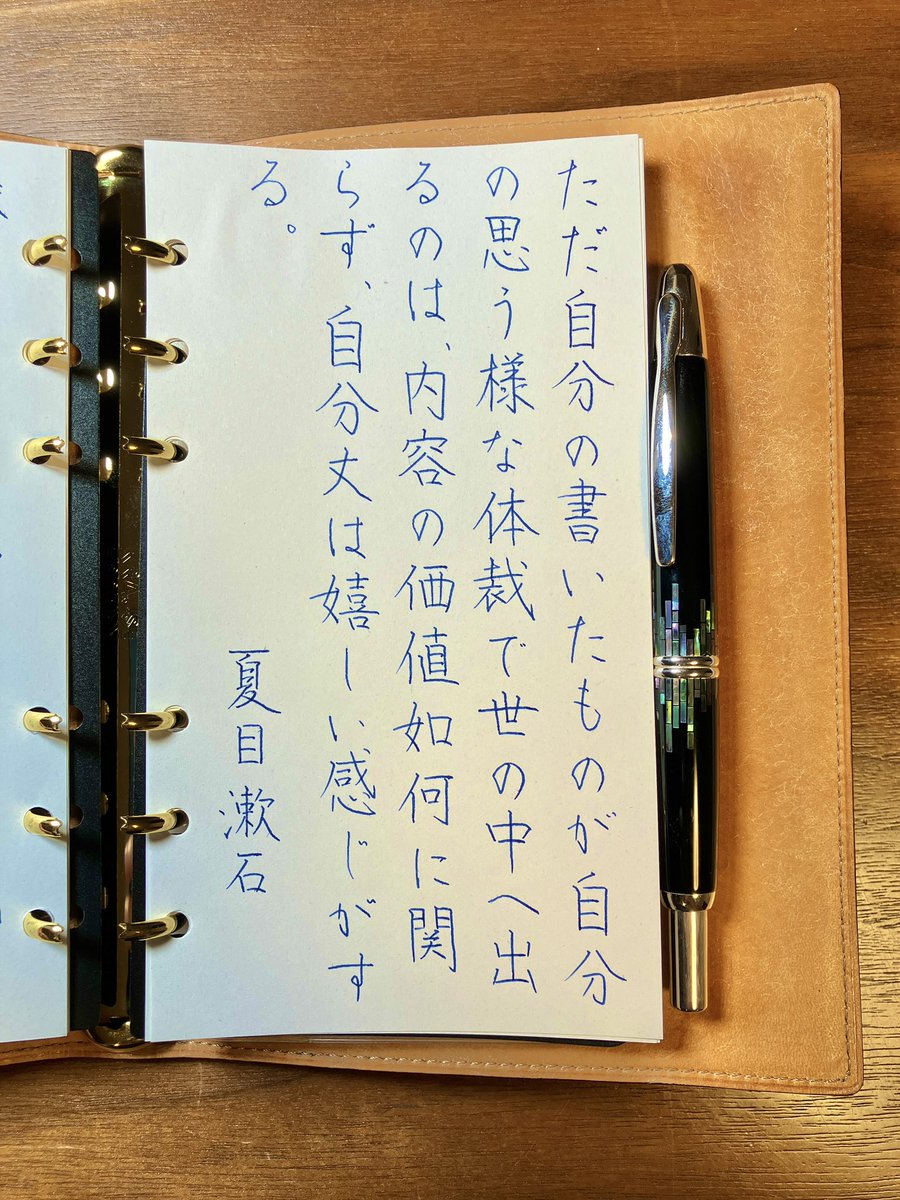 『『吾輩は猫である』上篇自序』夏目漱石
#朝活書写 No.2162
#朝活書写_2162