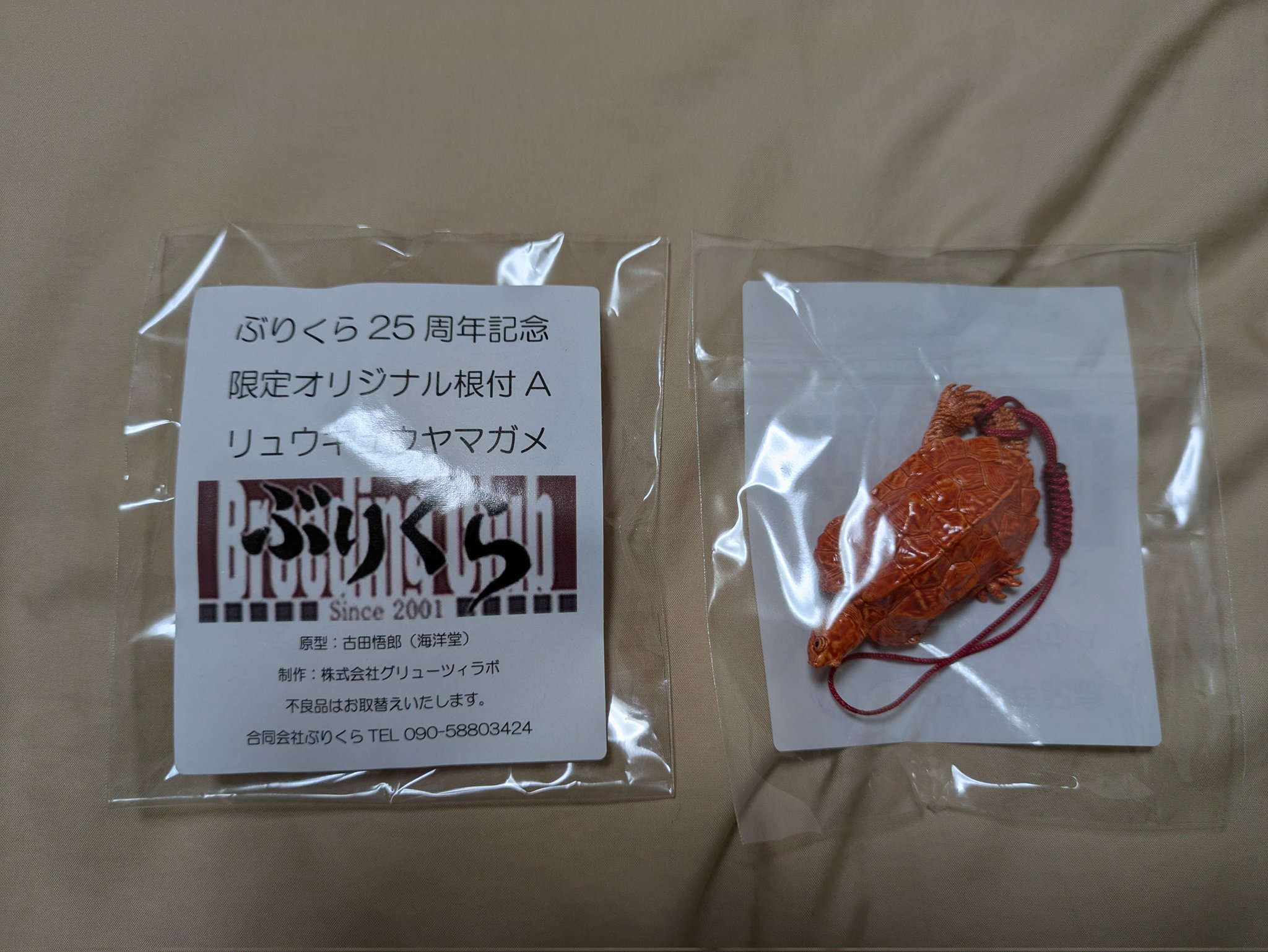 ゆきんこ 爬虫類リクエスト品 動植物関連書籍 ＞ 爬虫類 ＞ トカゲ ＞ その他トカゲ全般