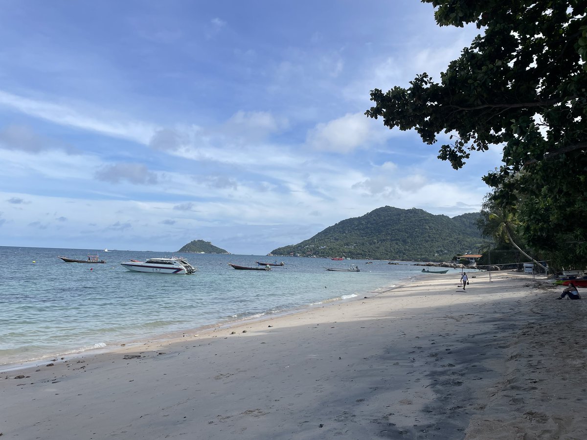 Sun&Bloss 🌤️🌸 tweet media