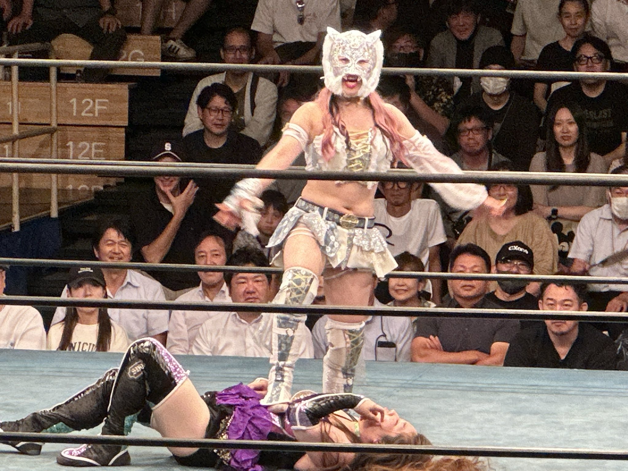 検証　三沢タイガー 初代タイガーvs.三沢、伝説の虎対決がついに実現！=12.4リアル
