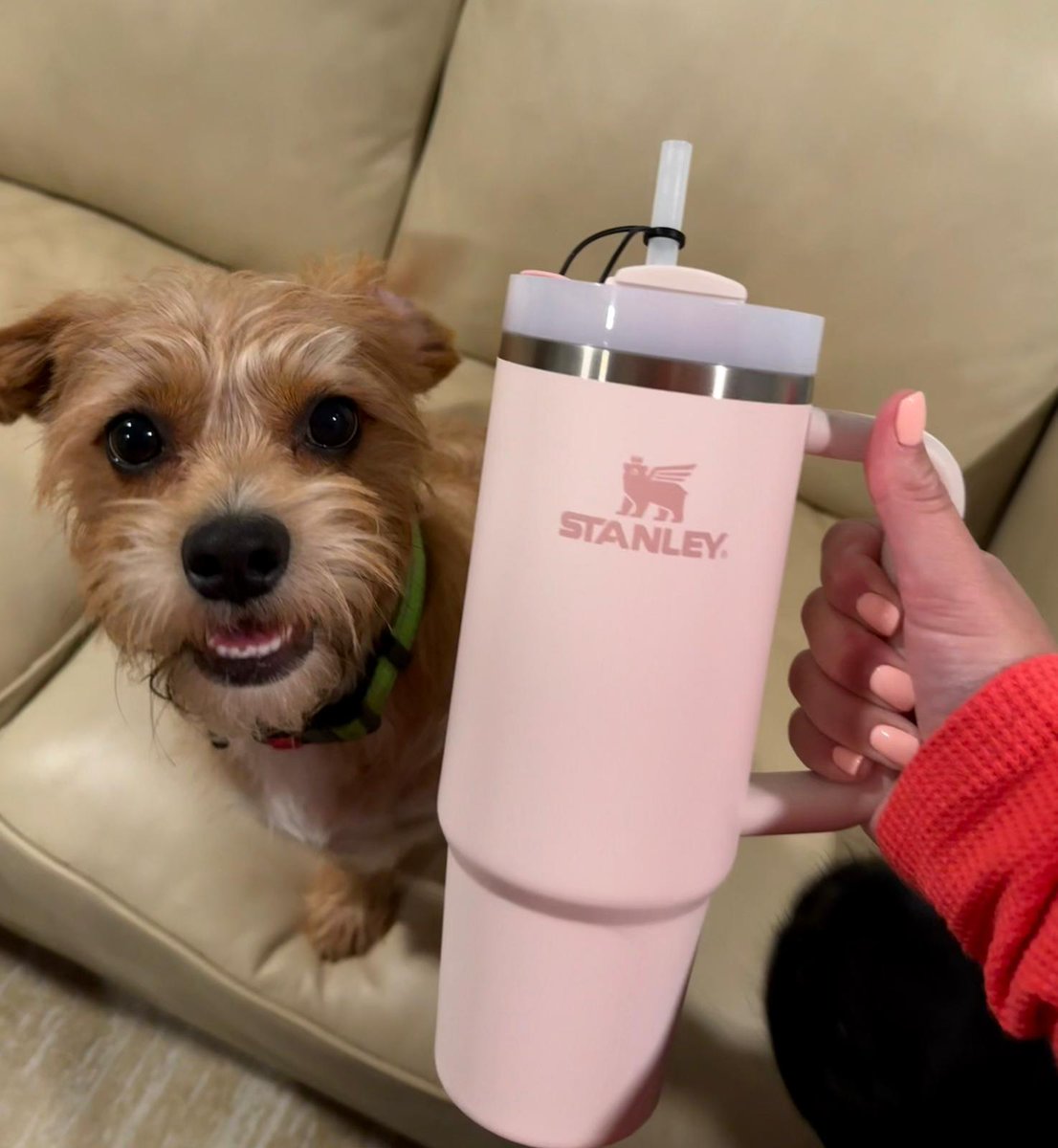 WiresideCom's tweet image. 💧 August was all about hydration! We challenged our team to drink 64oz of water every day—and the results were refreshing. From boosting energy to building healthy habits, it was a simple challenge with a big impact. 
 
#HydrationChallenge #HealthyHabits #WellnessAtWork…