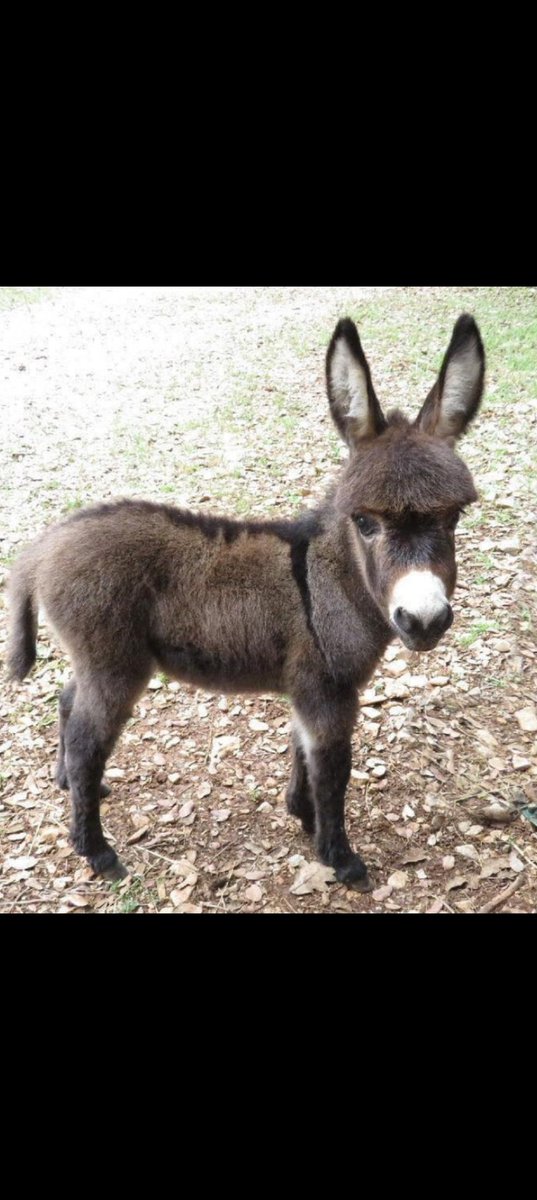 Rio Sta. Catarina es la gran válvula 
de Seguridad 🛟 d la zona metro  d  MONTERREY.! Déjenlo EN PAZ
Su ecosistema,es vital para la ciudad 🆘🆘. Está INVADIDO POR CONCRETO Y PAVIMENTO.!  RT
<a href="/conagua_mx/">Conagua</a> <a href="/elnorte/">EL NORTE</a> <a href="/MedioAmbienteNL/">Secretaría de Medio Ambiente</a> <a href="/ActualidadRT/">RT en Español</a> <a href="/nmasmonterrey/">N+ Monterrey</a>
<a href="/Telemundo/">Telemundo</a> <a href="/CongresoNL/">Congreso Nuevo León</a>