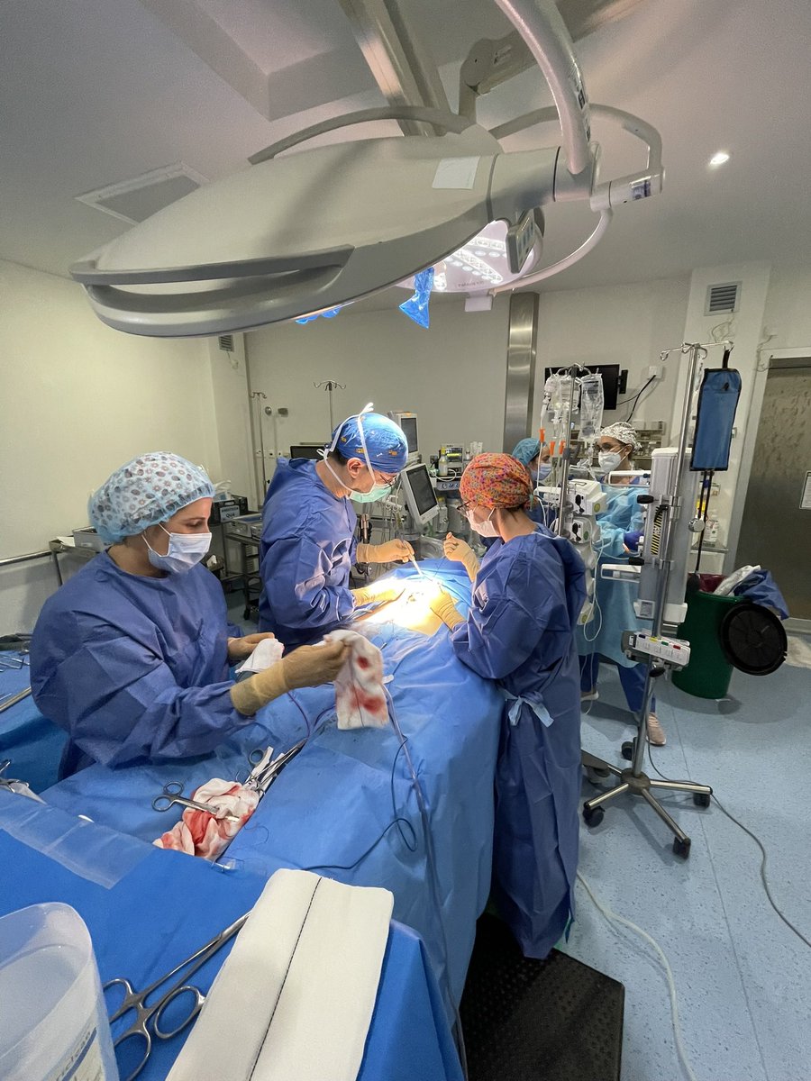 New public grant achievement to investígate in pseudomyxoma peritonei , thanks to <a href="/SaludISCIII/">Instituto de Salud Carlos III (ISCIII)</a> <a href="/IMIBIC/">IMIBIC</a> <a href="/HUReinaSofia/">Hospital Universitario Reina Sofía</a> <a href="/aecirujanos/">aecirujanos</a> <a href="/PMPSurvivor/">Pseudomyxoma Survivor</a> <a href="/NewsJellybelly/">News (PMP) Pseudomyxoma Peritonei Appendix Cancer</a> <a href="/AssocAmarape/">AMARAPE</a> <a href="/APeritoneum/">Asociación Peritoneum</a> <a href="/GrupoTTD/">Grupo Español de Tratamiento de Tumores Digestivos</a>