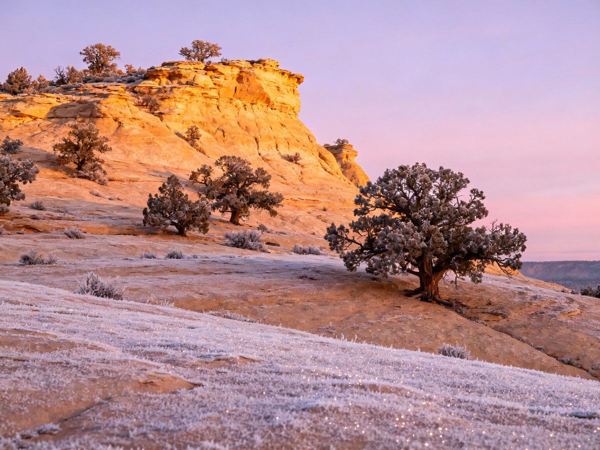 65536william's tweet image. Seedream 4.0 produces some incredible landscape "photos":