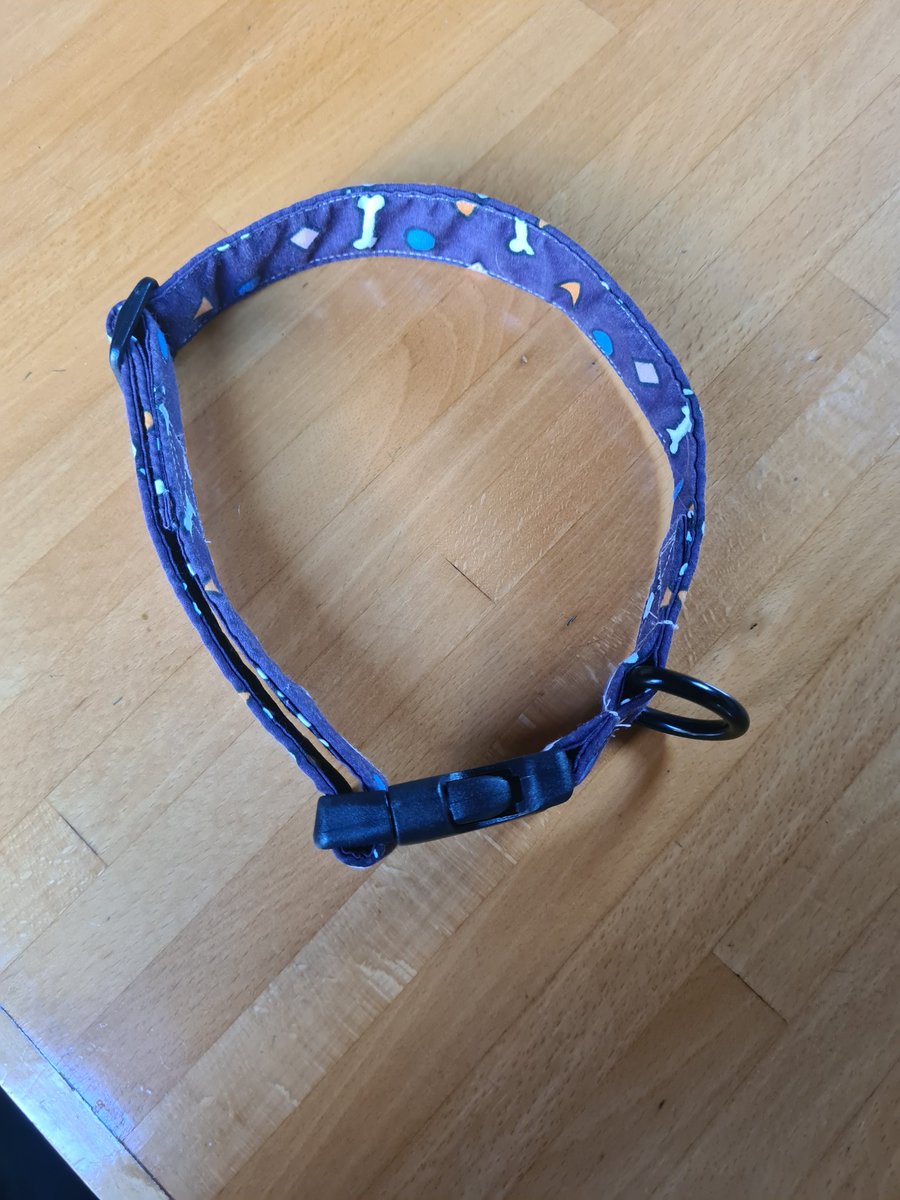 Made a collar to match the lead I made yesterday!  Beautifully modelled by my Luna!