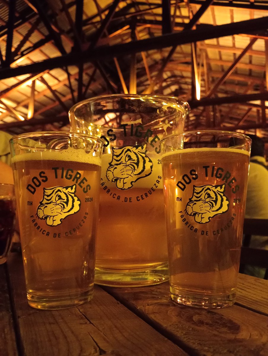 El fin de semana #Frigus visitó Morelia y regresamos a uno de nuestros sitios favoritos del país, la Cervecería Dos Tigres.

#Beer #cerveza #craftbeer #beerme #beertime #beerlover #BrothelHB #drinkbeer #drinks #artesanal #bier #birra #DosTigres #Morelia #beerfun