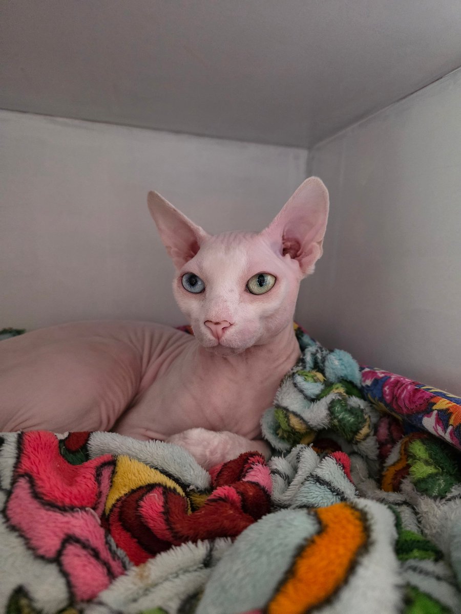 Просто история про меня и Мишу