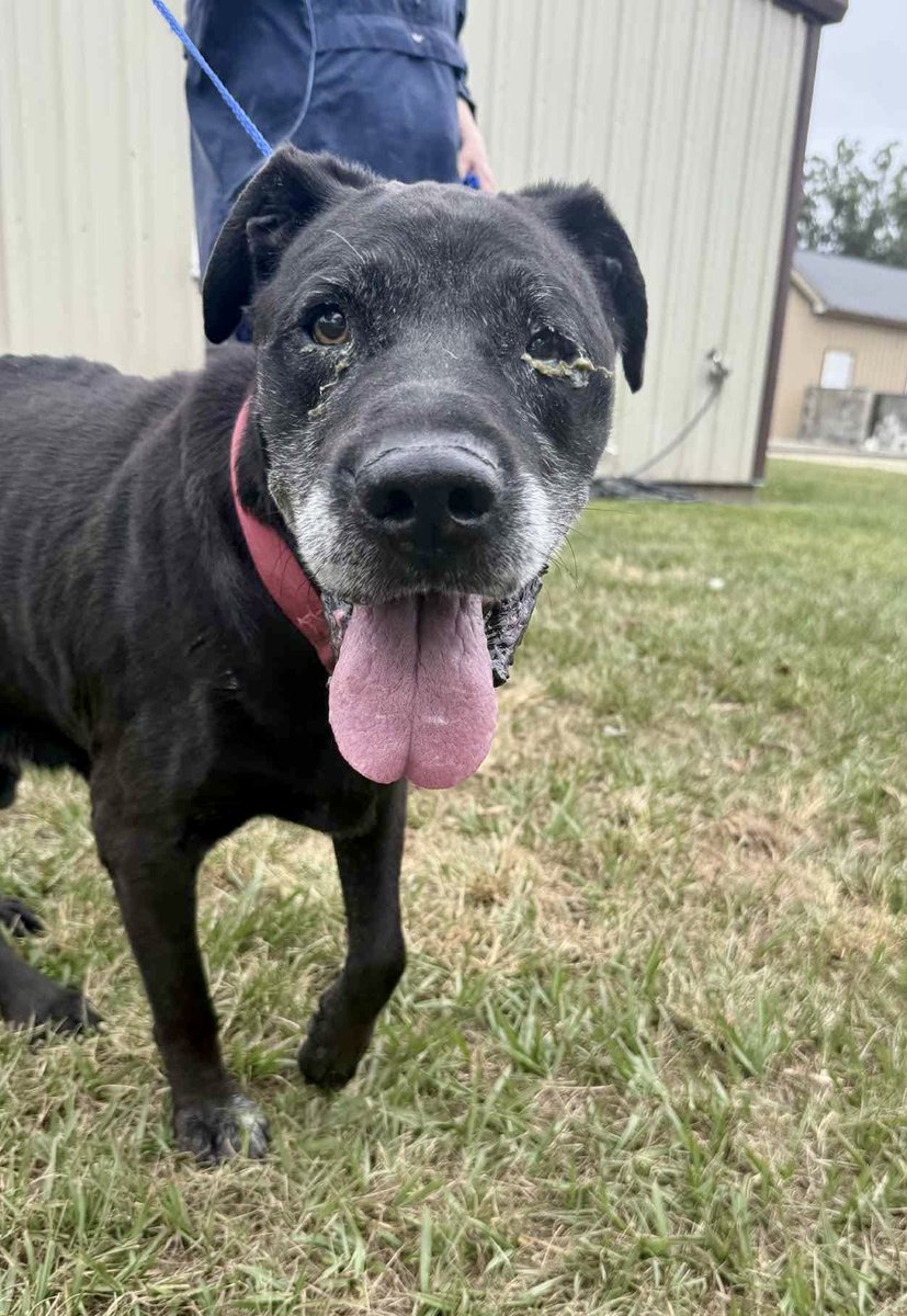 Donna Lac tweet media