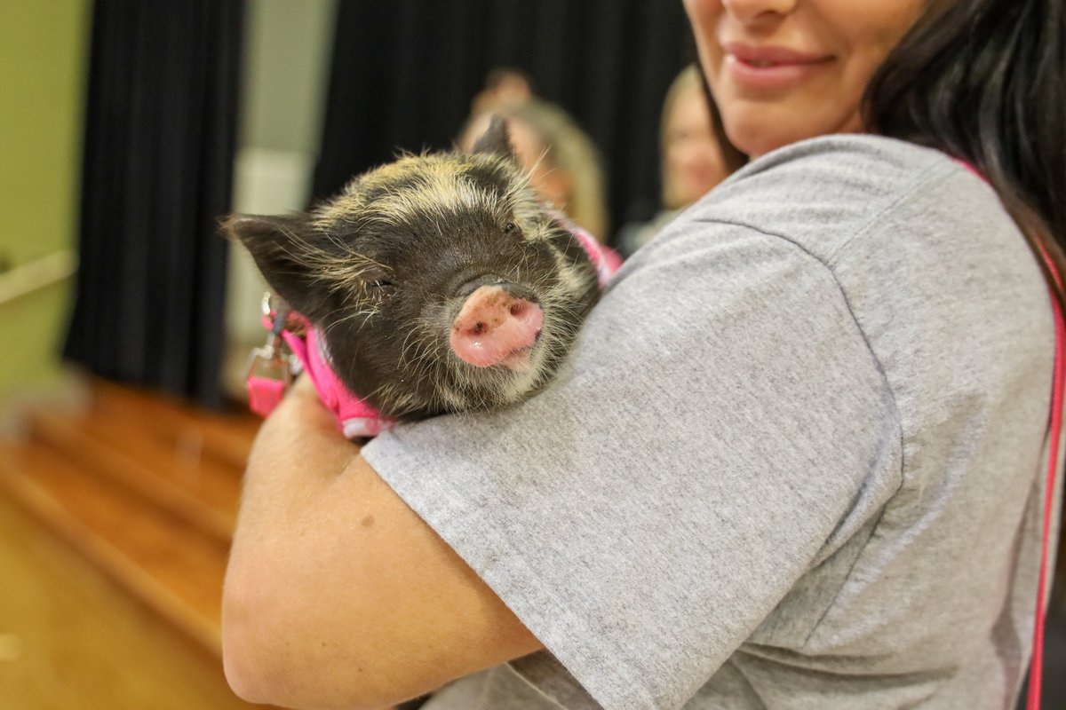 Northwest ISD Education Foundation tweet media