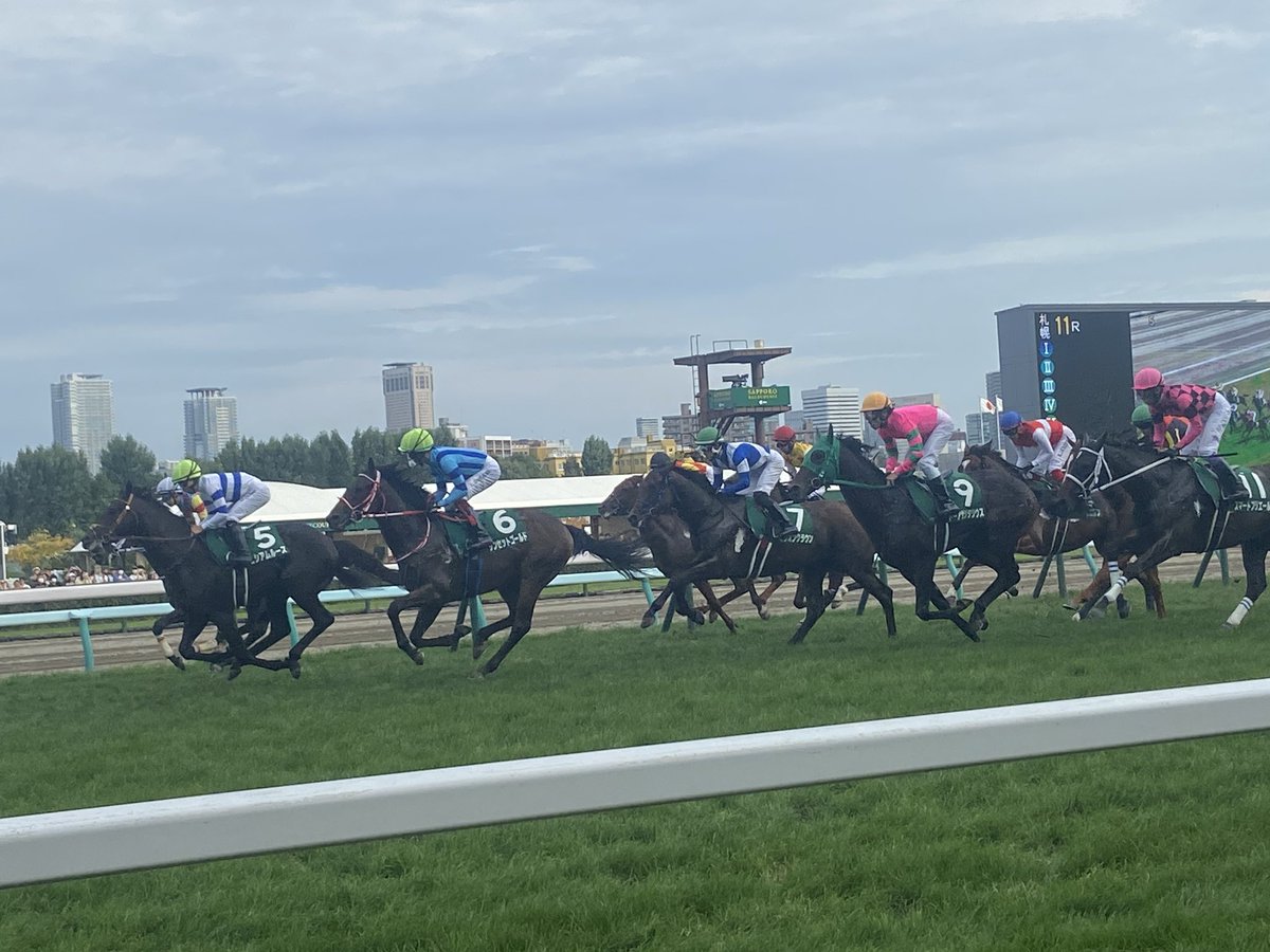 sukaruhato's tweet photo. 出張のおかげで人生初の札幌競馬場に行けました！

敷物忘れたけども隣の方が敷物貸してくれて助かりました！

鮫島騎手は、ファンサービスか、たまたまか解らないけど目の前まで近づいて来てくれてすごく嬉しかったな！

来年は、娘次第だけど家族で旅行がてら札幌競馬場に開幕中に行けたらいいな！ https://t.co/ZfORiDJmYN