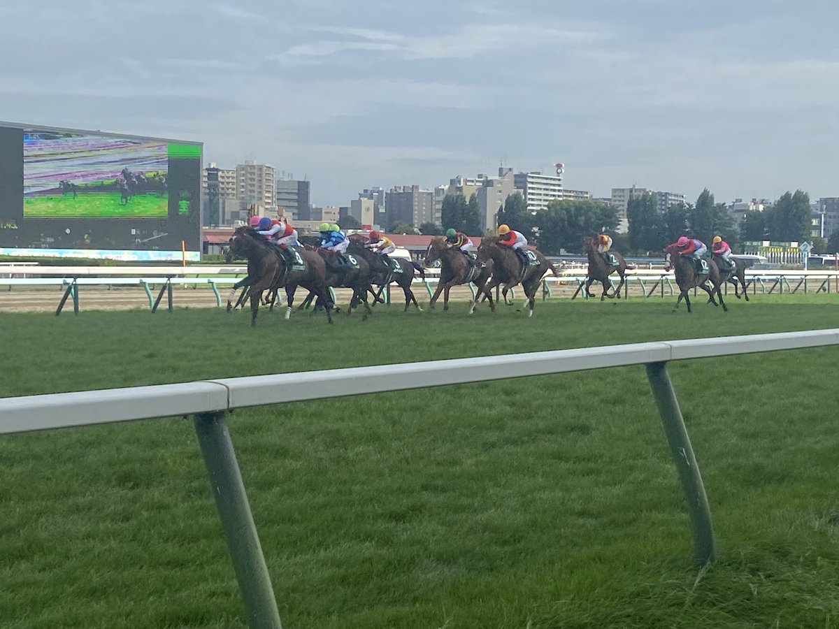 sukaruhato's tweet photo. 出張のおかげで人生初の札幌競馬場に行けました！

敷物忘れたけども隣の方が敷物貸してくれて助かりました！

鮫島騎手は、ファンサービスか、たまたまか解らないけど目の前まで近づいて来てくれてすごく嬉しかったな！

来年は、娘次第だけど家族で旅行がてら札幌競馬場に開幕中に行けたらいいな！ https://t.co/ZfORiDJmYN