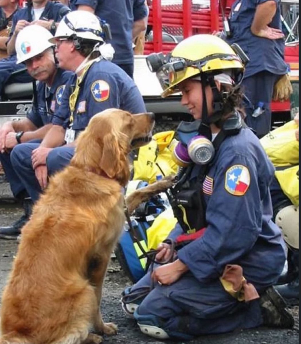 PuppiesIover's tweet image. In remembrance of 9/11 hero’s pls don’t pass without leaving a big heart ❤️