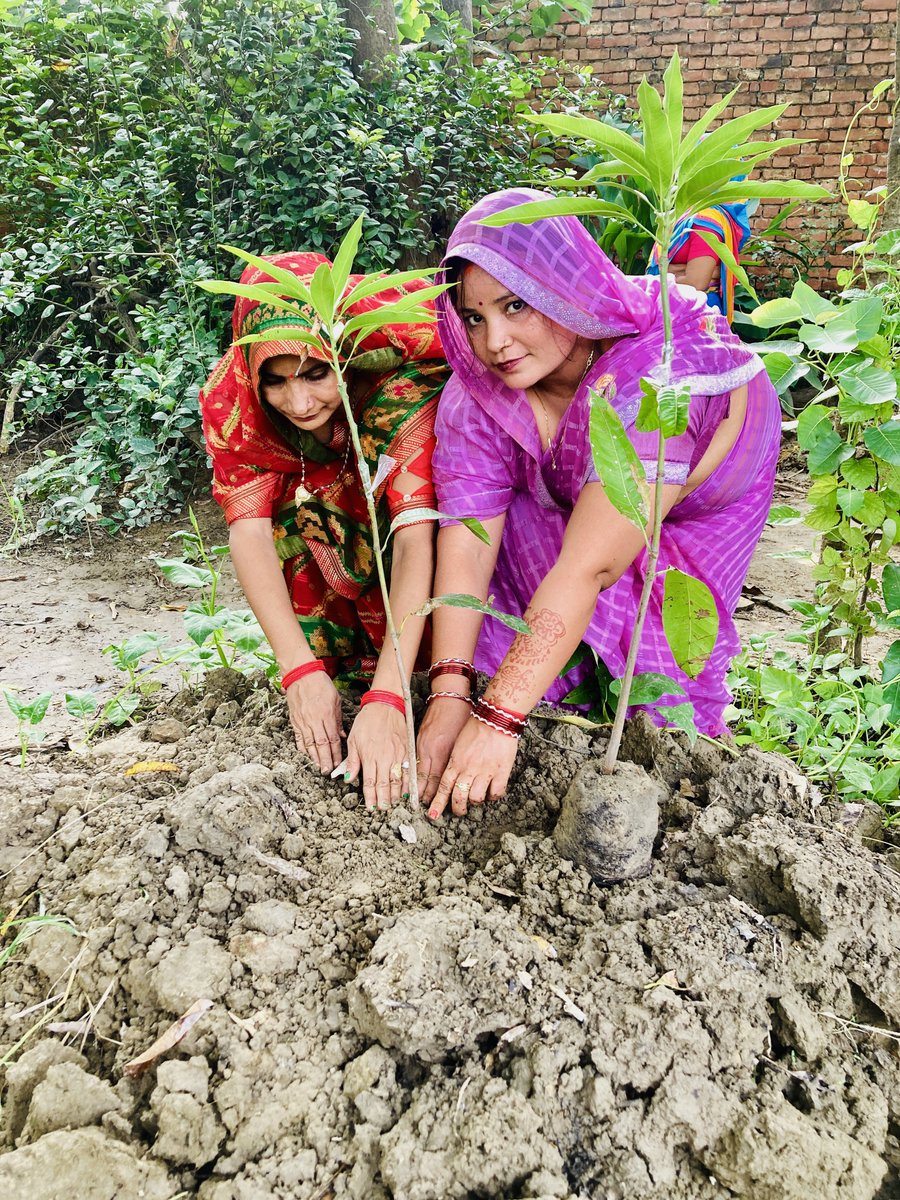 MLR Foundation tweet media