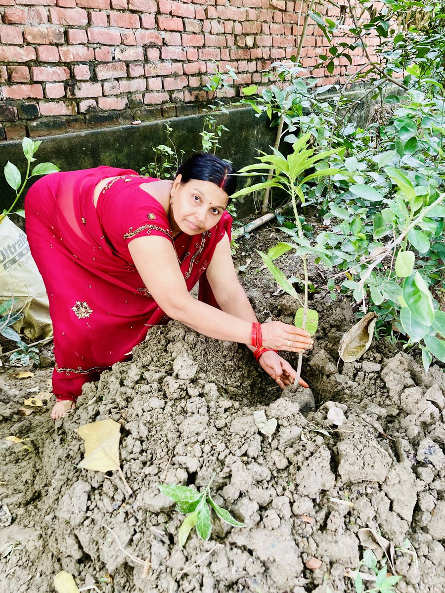 MLR Foundation tweet media