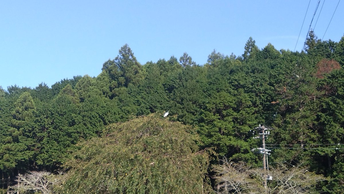 shunkaorii's tweet photo. 体感バランス‥良すぎ( °ᗝ° ).ᐟ.ᐟ https://t.co/0Oh3UNSyhn