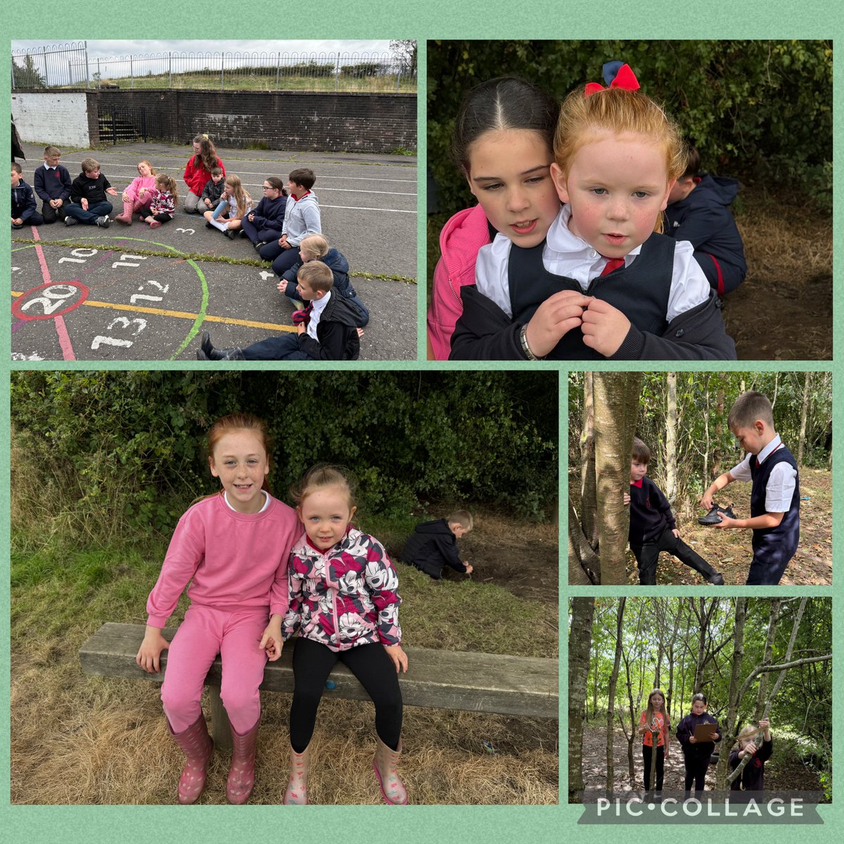 P6/7 have been responsible citizens encouraging and supporting P1/2 to learn about our Dalreoch Dreams and Learning Dispositions during forest play and as reading pals. #Curiosity #Teamwork #Resilience #Empathy #Dalreochdreams #readingforpleasure