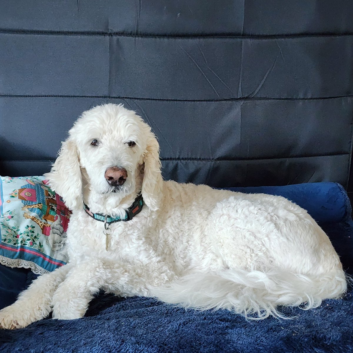 Seeing Cody for multiple days