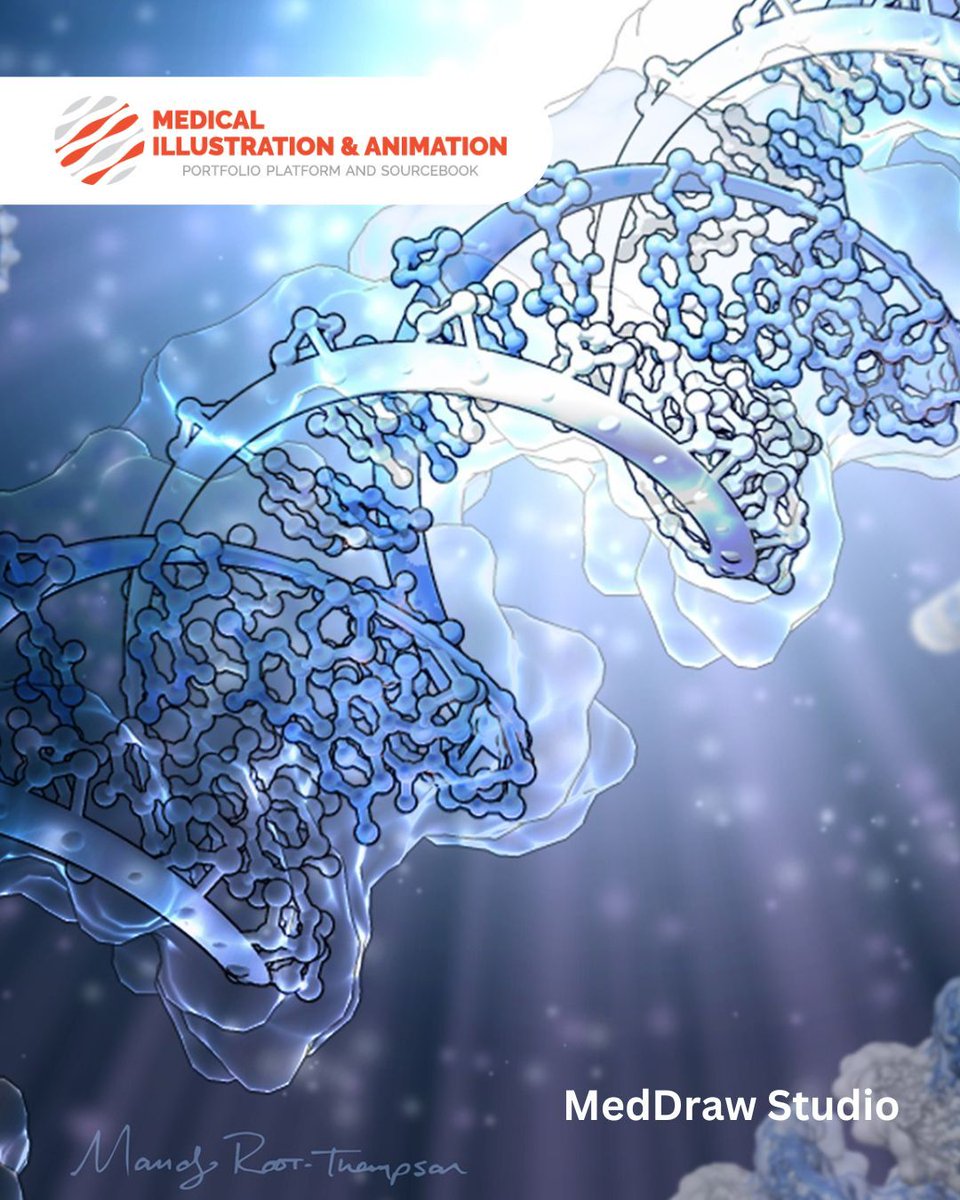 Medillustrates's tweet image. A closer look at life’s blueprint ✨

This stunning illustration by MedDraw Studio depicts DNA in an aqueous environment, blending scientific precision with artistic detail. 

Discover more: medillsb.com/artist.aspx?AI… 

#medicalillustration #dnascience #genetics #molecularbiology