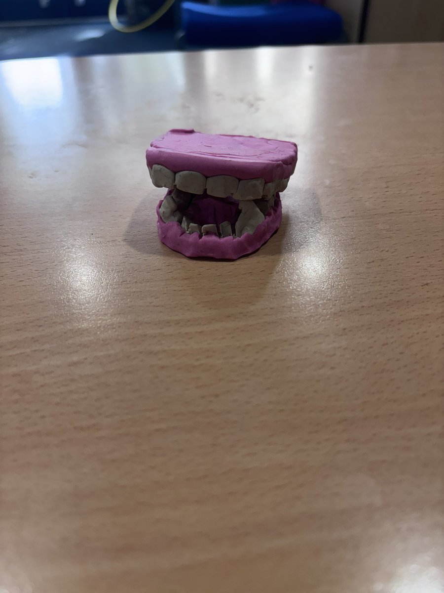StAnnsRainhill's tweet image. In Year 4 we’ve been learning all about teeth – their names, functions and importance.
To put our knowledge into action, the children created their own models of teeth! 🦷🪥
#Year4 #ScienceLearning #AnimalsAndHumans