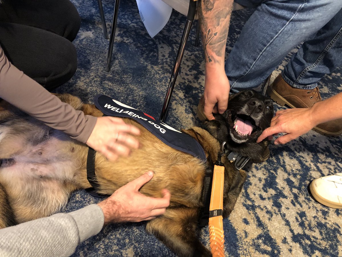 Baloo is at the <a href="/ServiceDogsUK/">ServiceDogsUK</a> Conference and Dogs in Service Awards in Winchester today. 

Honoured to share her story with the delegates ❤️🐾🐾🐾 

Baloo loved all the fuss 🥰