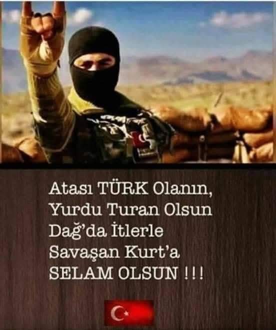 Osman Salgın🤘 (@salg_n76321) on Twitter photo 