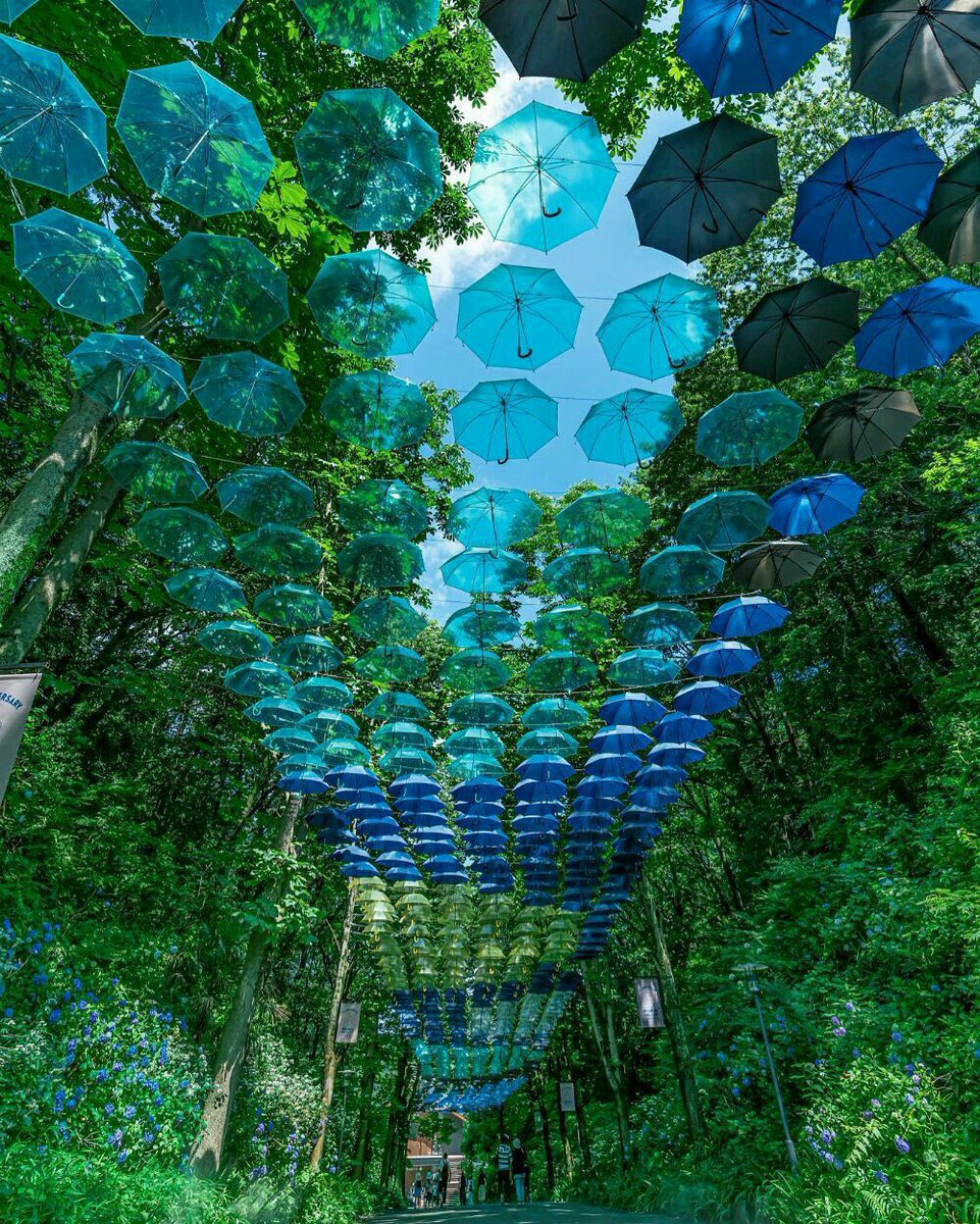 greenvibe's tweet image. 