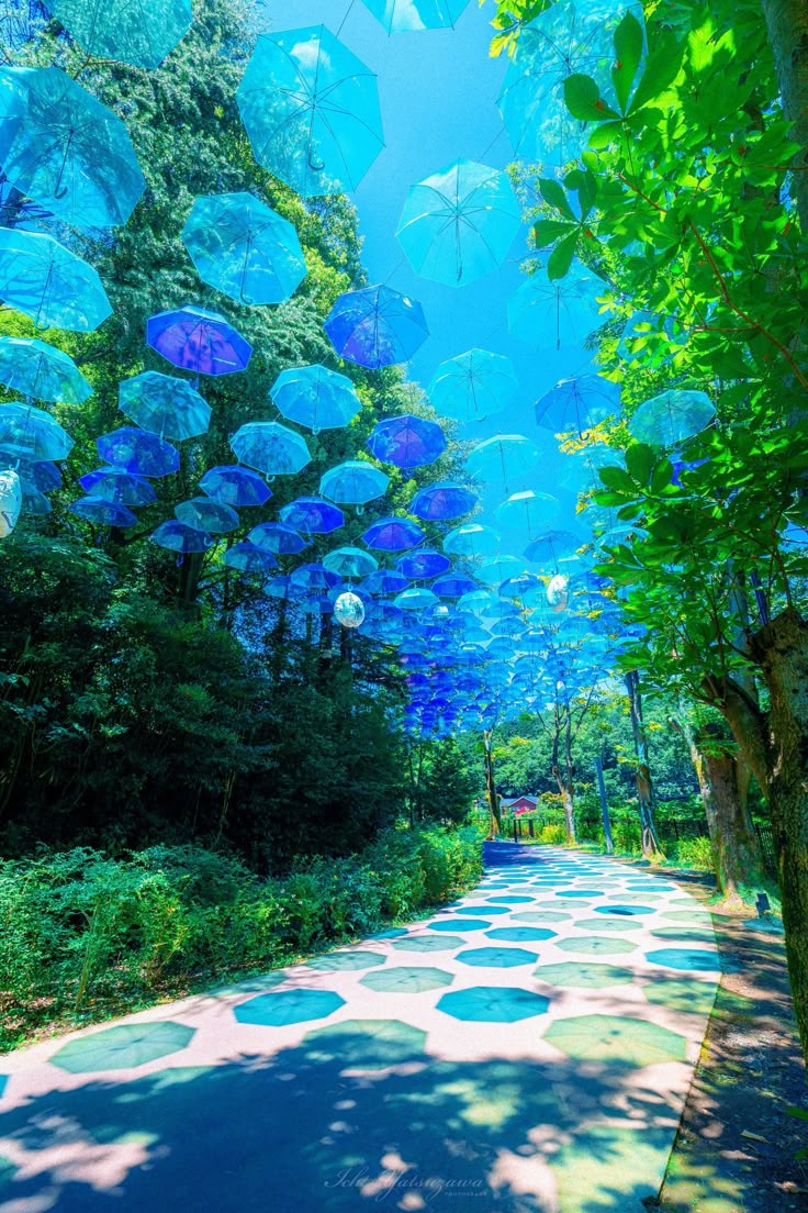 greenvibe's tweet image. 